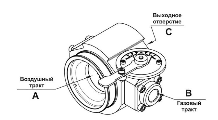 изображение_2024-07-01_125423049.png